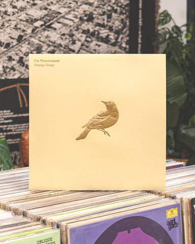 Ute Wassermann – Strange Songs (For Voice And Bird Calls) • LP (2022)