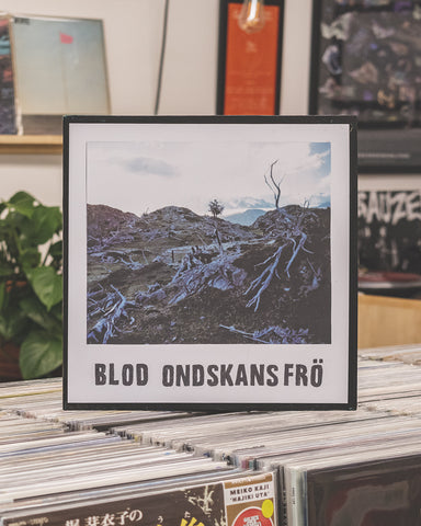 Blod – Ondskans Frö • LP (2023)
